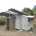 鳥小屋