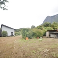母屋と鳥小屋