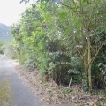 周辺道路02