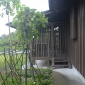 母屋外観デッキ01