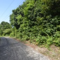 周辺道路01