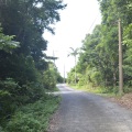 周辺道路05