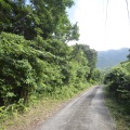 周辺道路03
