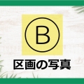 B区画の写真