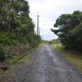 周辺道路