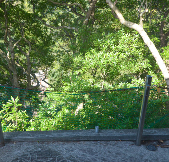 別棟風呂デッキ