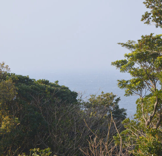 ベランダからの眺望