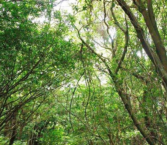 土地に向かって２