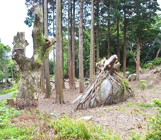 現地写真　海側より3