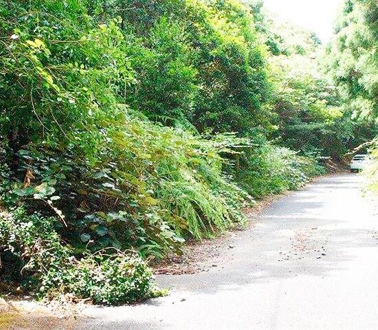 町道、東に向かって