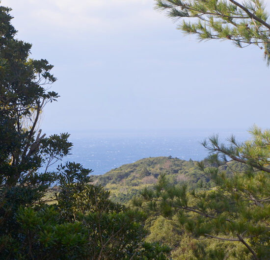 物件よりの眺望