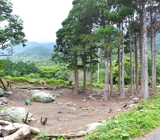 現地写真　海側より1