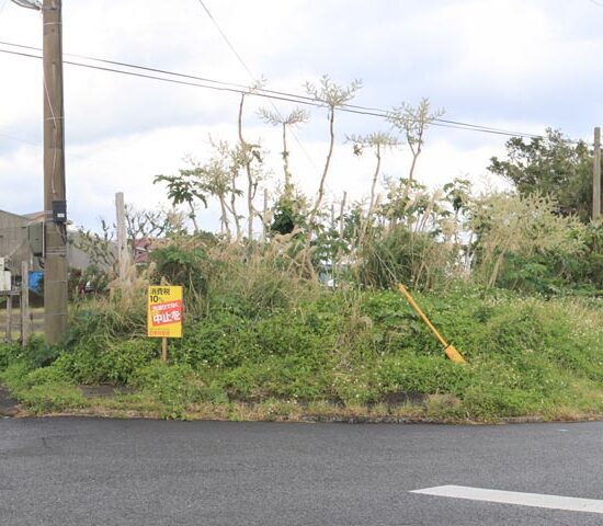 現地写真　南側より