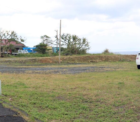 現地写真　南側より