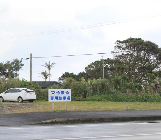 現地写真　西側より