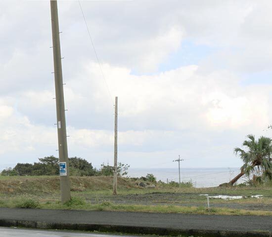現地写真　西側より