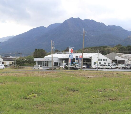 現地写真　東側より