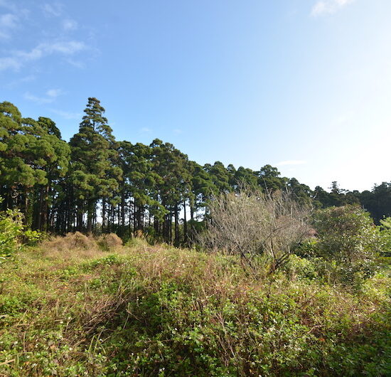 FA-220053【安房売地】