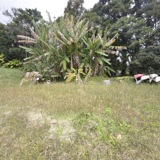 現地写真04 現地写真04