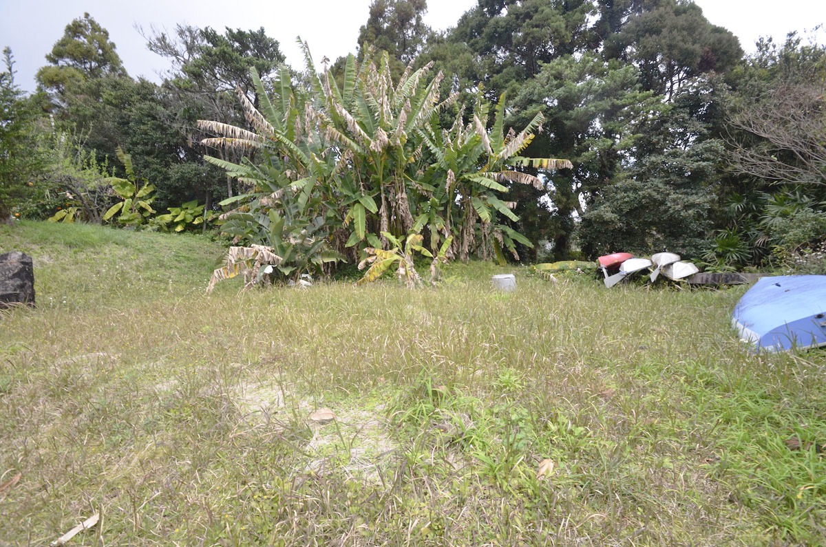 現地写真04 現地写真04