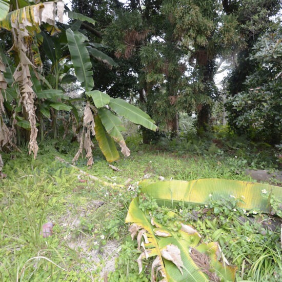 現地写真05 現地写真05