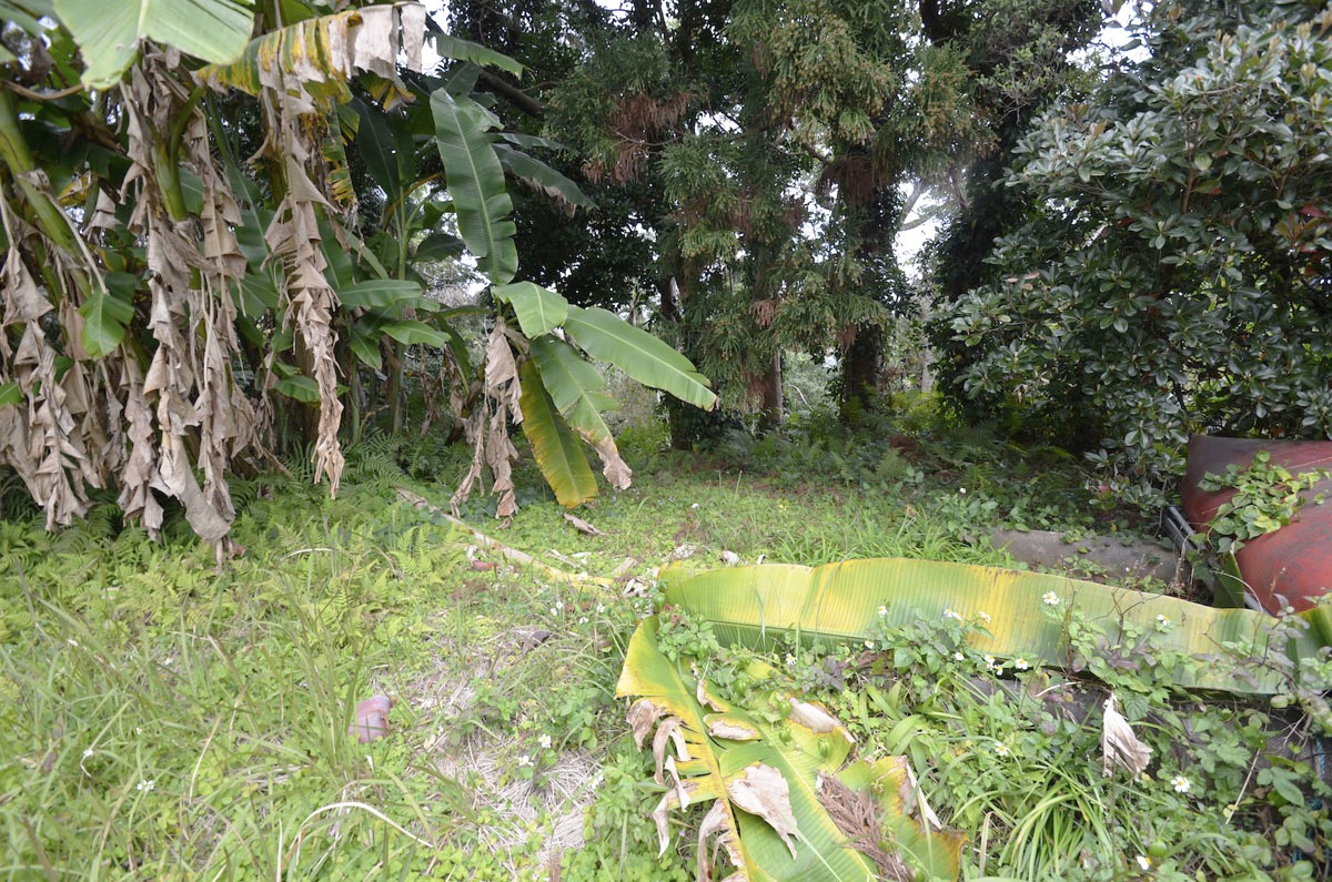 現地写真05 現地写真05