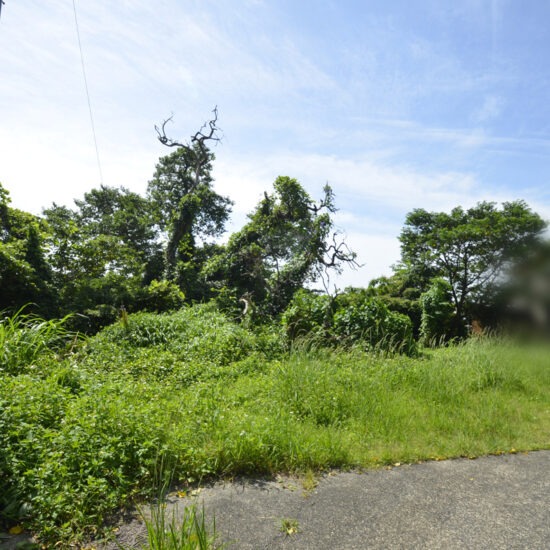 北西側現地写真02