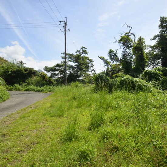 北西側現地写真10