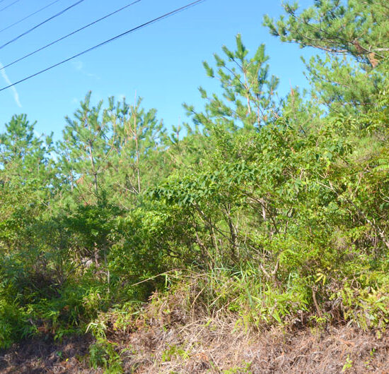 HR-170046【平内売地】<var>ご成約</var>