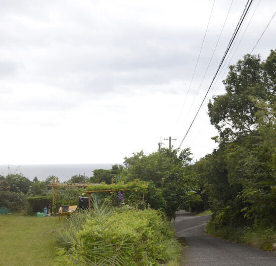 現地よりの眺望