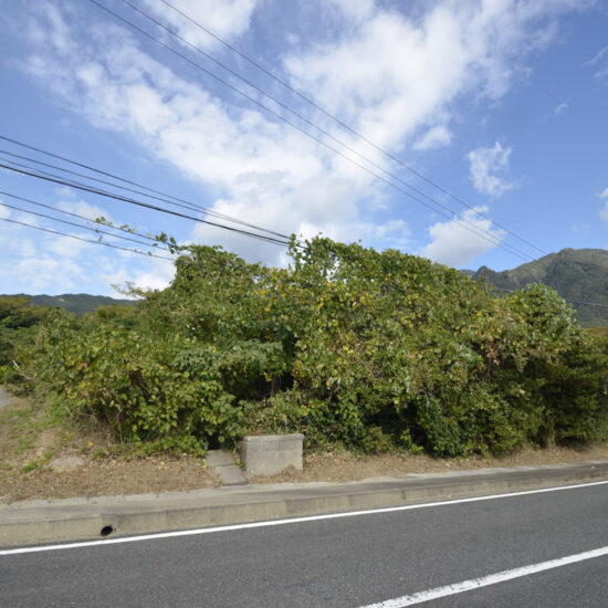 HR-250117【平内売地】<em>新着物件</em>