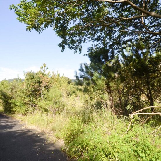 HR-250118【平内売地】<em>新着物件</em>