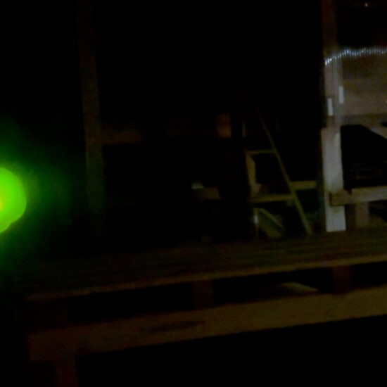 ホタルが家に来る