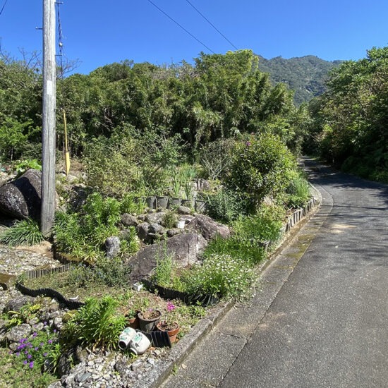 外観13（家の前の道路 ）