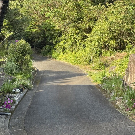 外観08（家の前の道路 ）