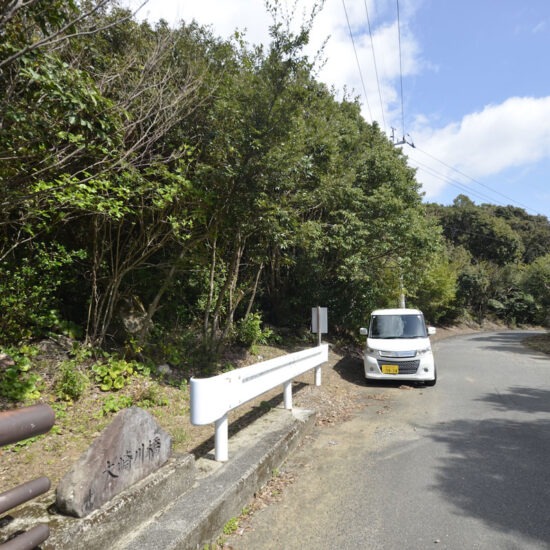 現地写真（大面積部分）[1]