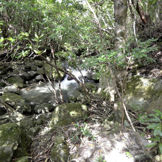 現地写真（大面積部分）[2]