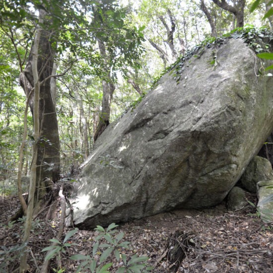 現地写真（大面積部分）[3]