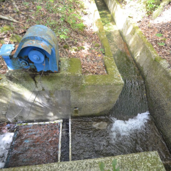 現地写真（大面積部分）[3]