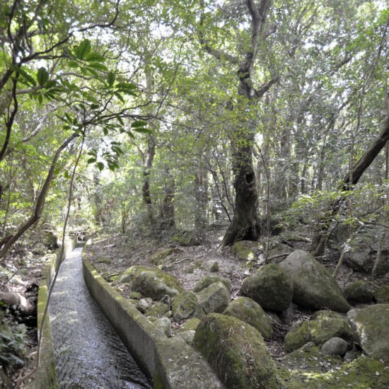 現地写真（大面積部分）[4]