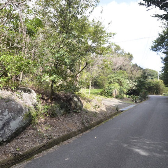 現地写真（大面積部分）[6]