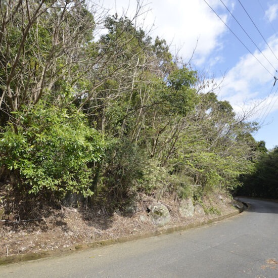 現地写真（大面積部分）[6]