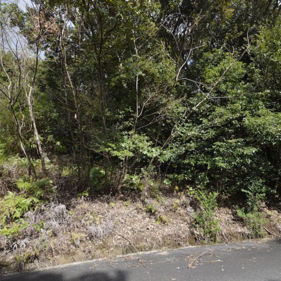 現地写真（大面積部分）[6]