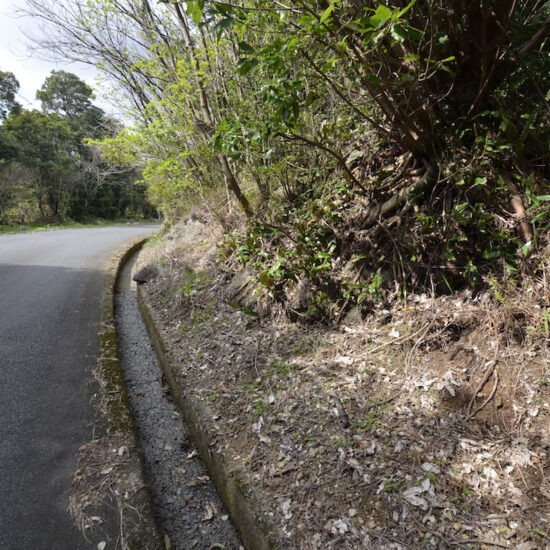 現地写真（大面積部分）[6]