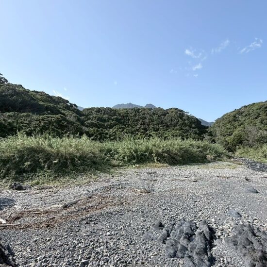現地写真2