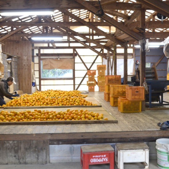 倉庫Ａ内観01（板間）