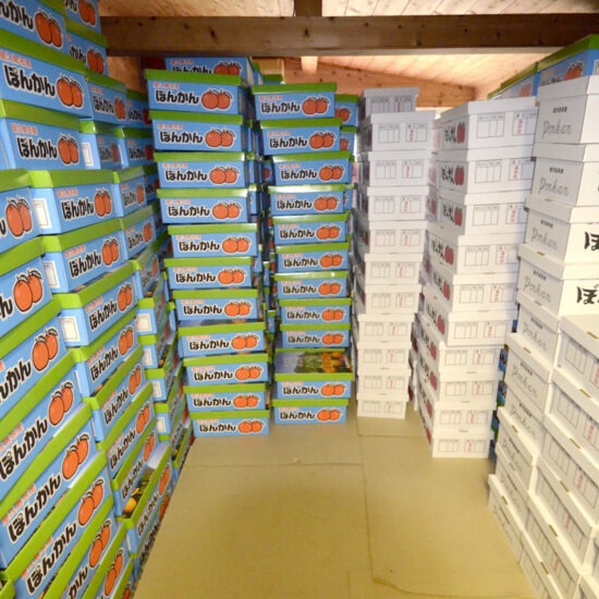 倉庫Ａ内観15（板間）