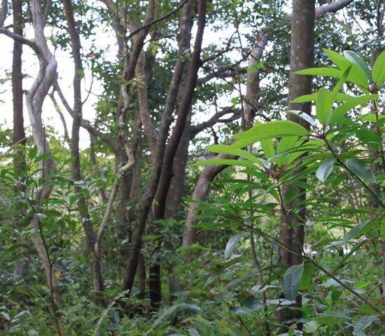 現地写真9　北側より