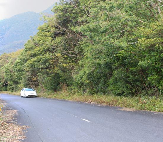 現地写真6　東側より
