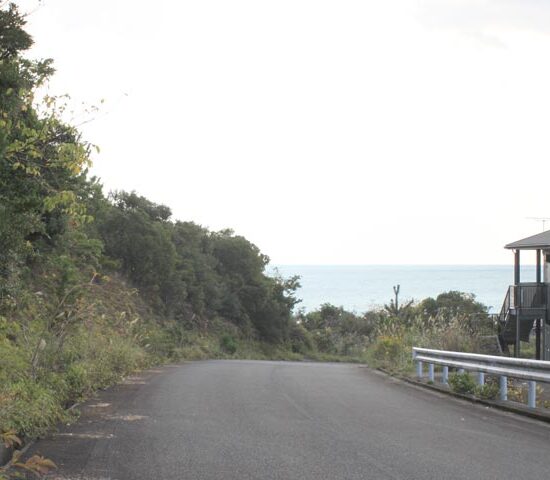 現地写真2　西側より